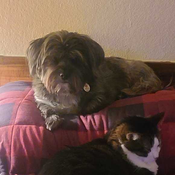 Pete Ruffler - Picture 3 of 5